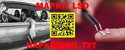 дурь Бердск