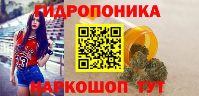 дурь Бердск