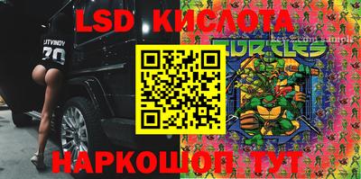 дурь Бердск