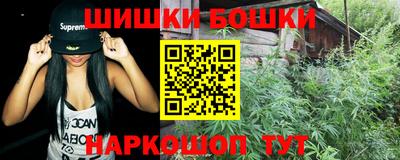 дурь Бердск