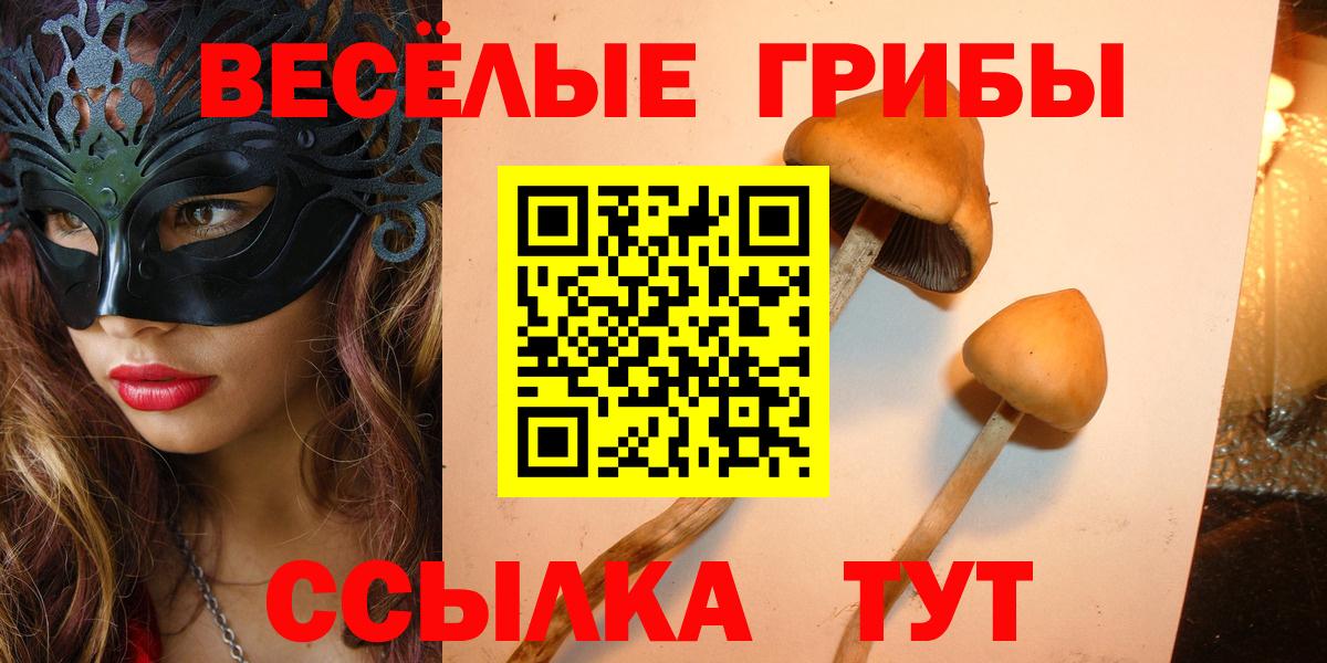 Асбест  Псилоцибиновые грибы GOLDEN TEACHER  Галлюциногенные грибы Psilocybe  Вход с VPN 