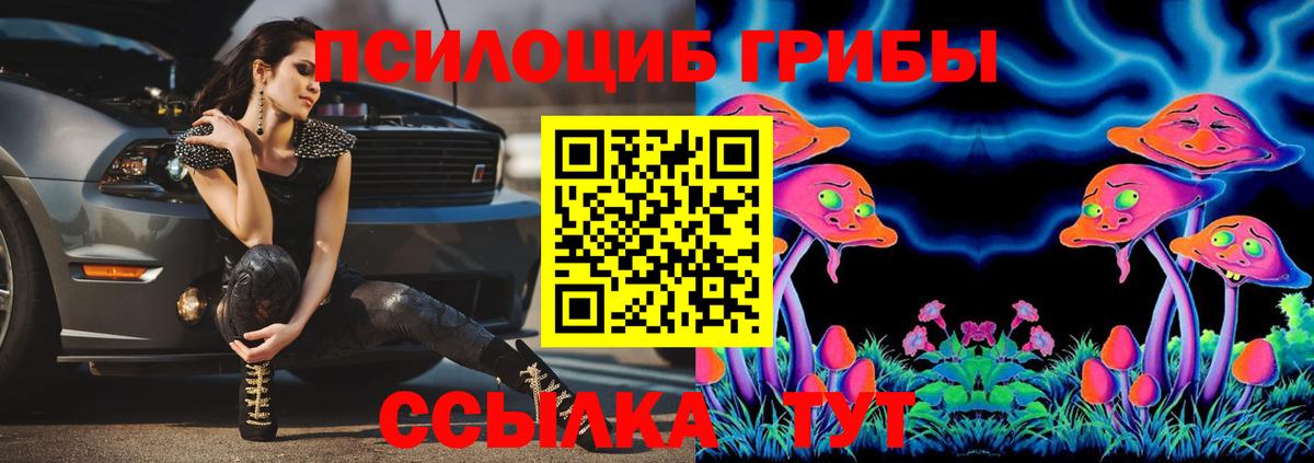 Галлюциногенные грибы Psilocybe Асбест